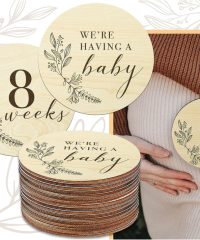 Wooden Pregnancy Milestone Signs for 8-40 Weeks