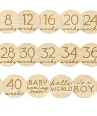 Pregnancy Journey Milestone Markers, Wooden Weekly Growth Milestone Discs