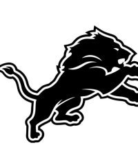 Detroit Lions Custom Vinyl Decal Sticker