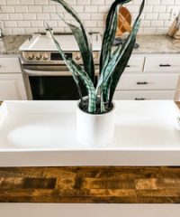 Counter organizer tray 13x31x3